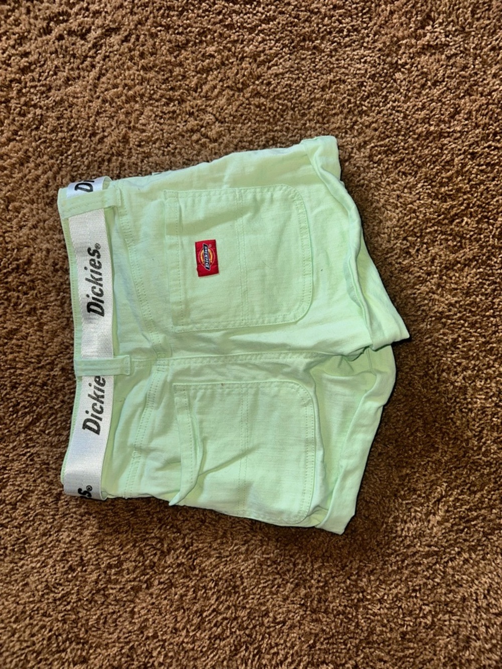 Dickies Green Shorts with Branded belt